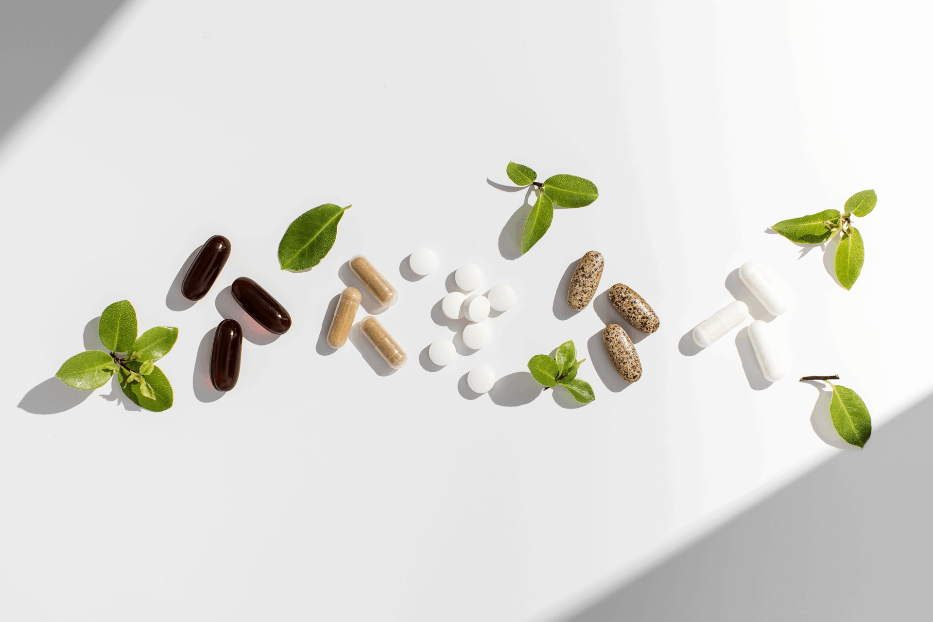 plant-based dietary supplements