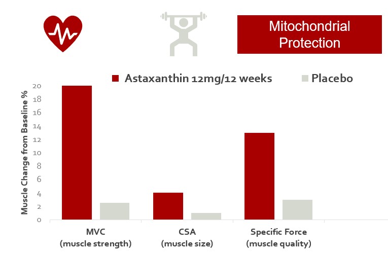 astaxanthin study
