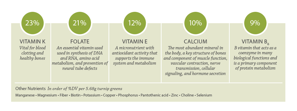 turnip green nutrient profile
