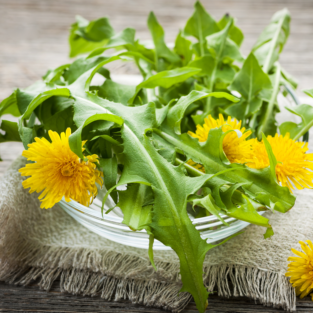 dandelion greens
