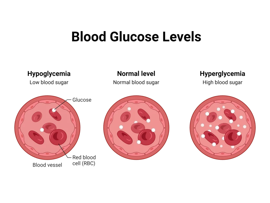Blood-Glucose-Levels-1024x768