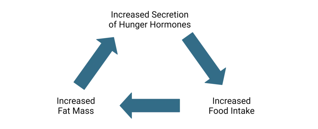 Obesity and Hunger Hormones