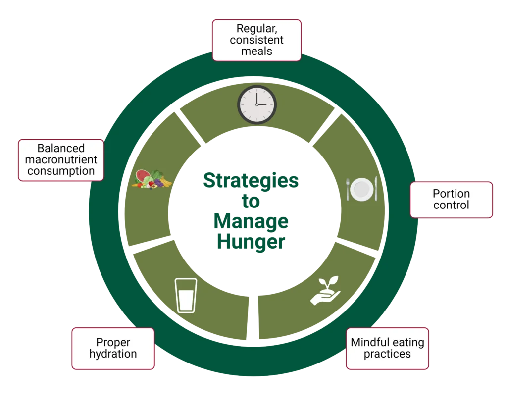 Strategies to Manage Hunger Hormones