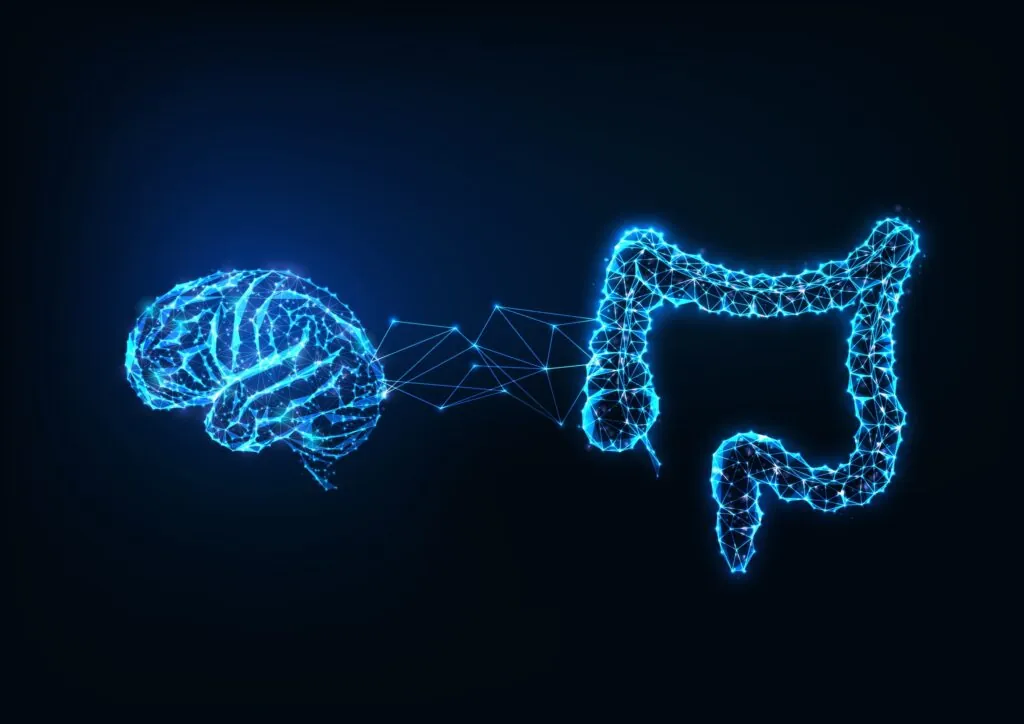 A digital brain and intestine, connected by geometric lines, glow in neon blue against a dark background, symbolizing a neural connection or communication.