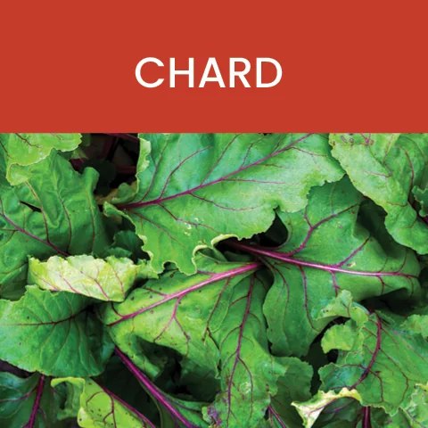 swiss chard whole food advantage tile