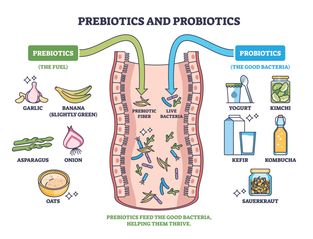 prebiotics and probiotics