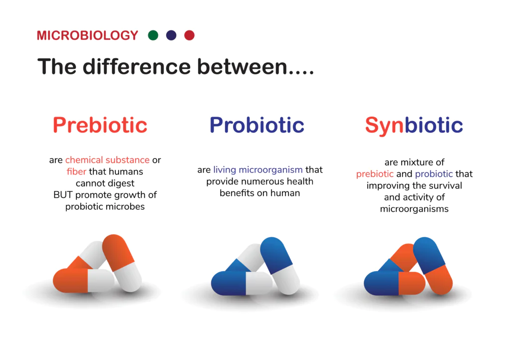 prebiotic plus probiotic equals synbiotic